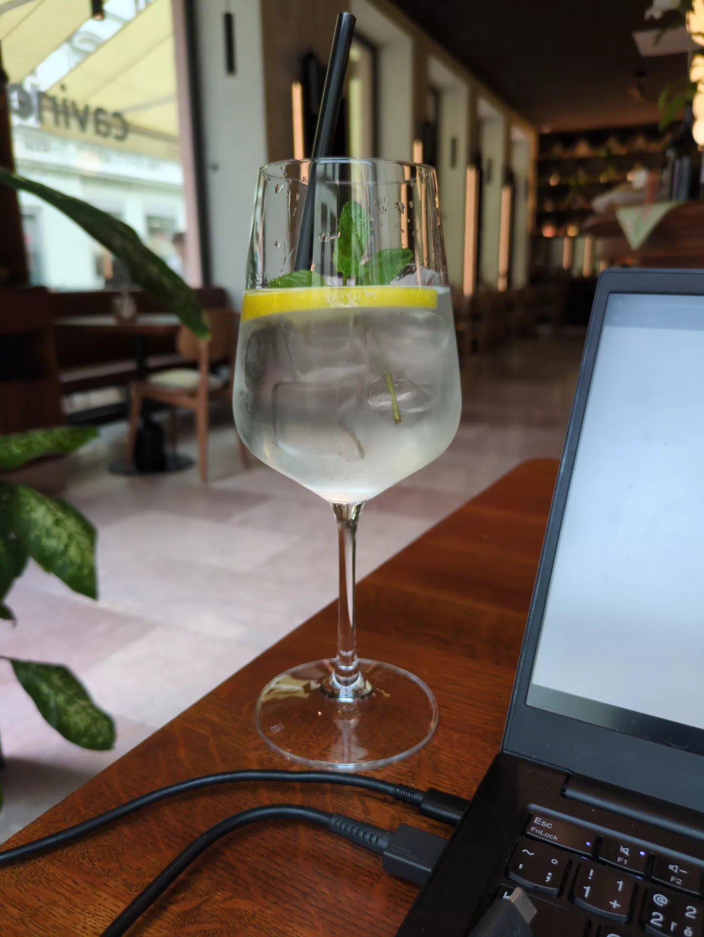🍸 Hendrick's Gin Original