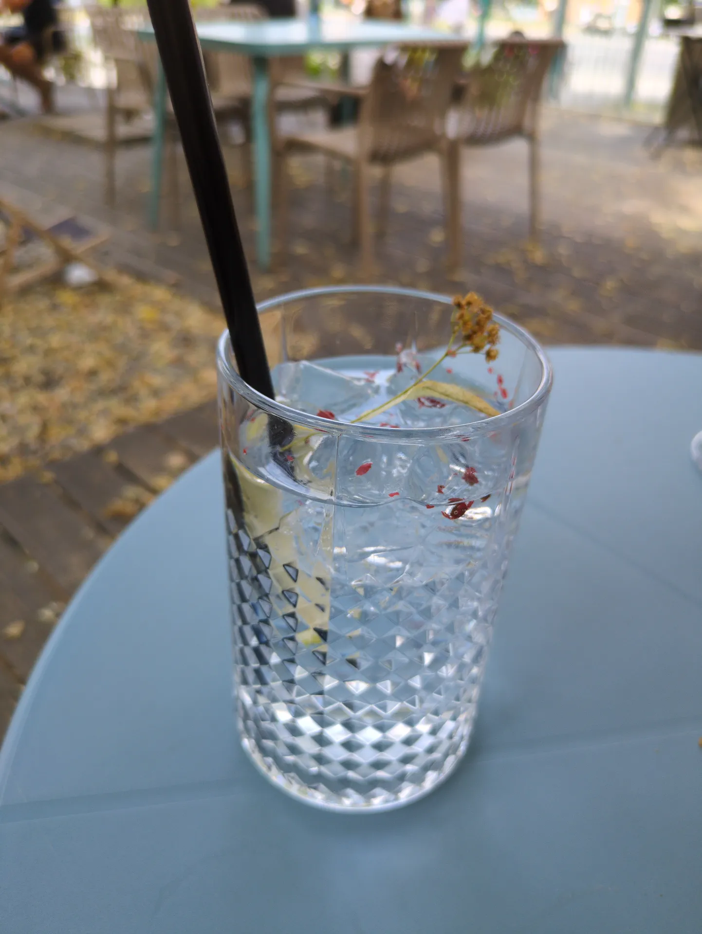 🍸 Gordon's Dry Gin