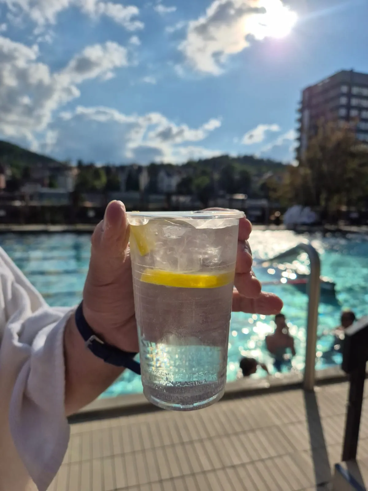 🍸 Roku gin