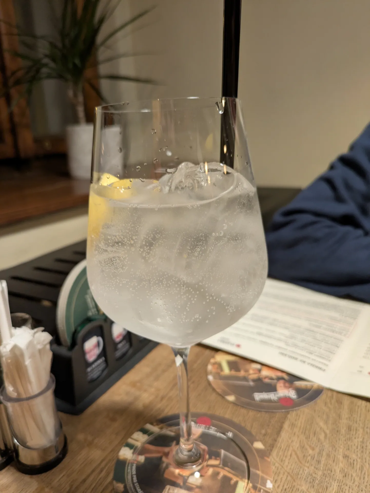 🍸 Gordon's Dry Gin