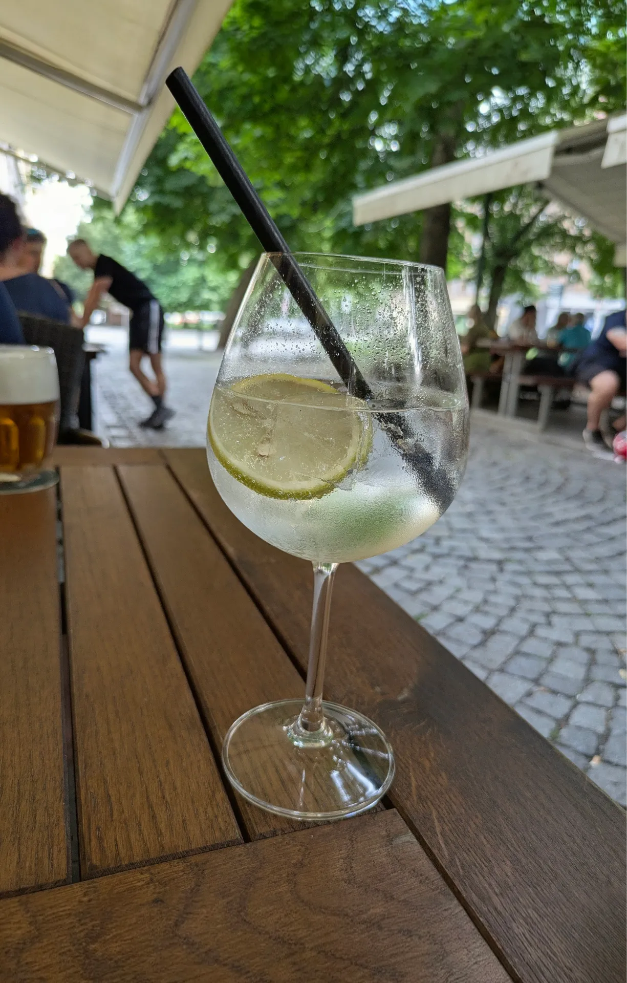🍸 Hendrick's Gin Original
