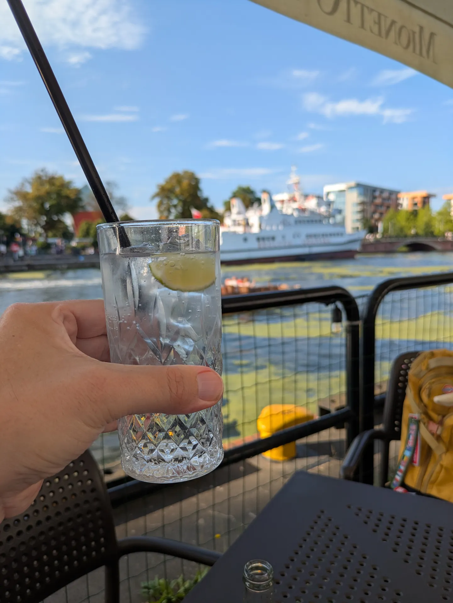 🍸 Hendrick's Gin Original