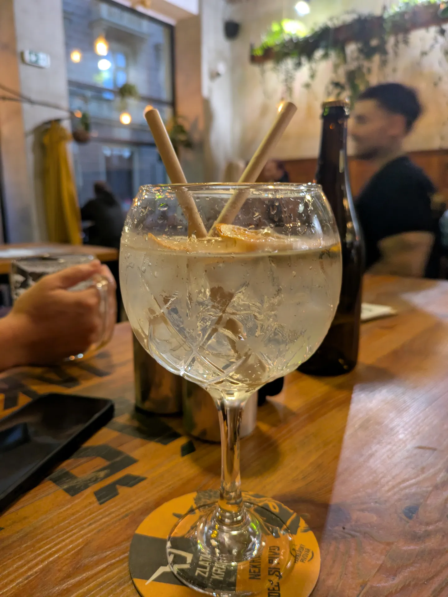 🍸 DLABKA SLOE GIN